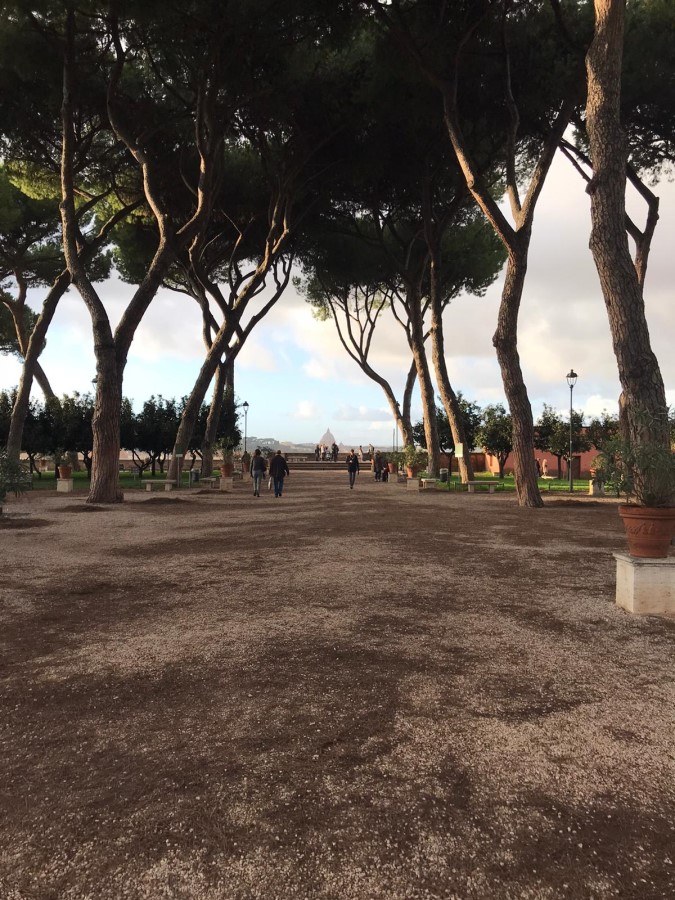 Romantic sunset view over Roman pine trees toward St Peter's dome